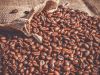 Kaffee Knubel
